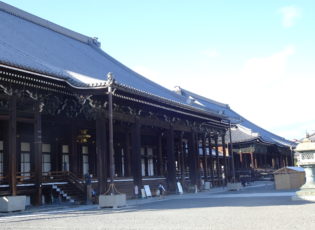 西本願寺の大イチョウを見に行きました🚙＝