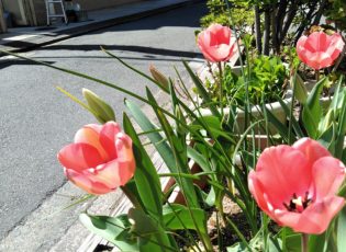 春は旅立ちと出会いの季節