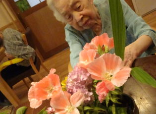 花の寄せ植えを楽しんでいます。