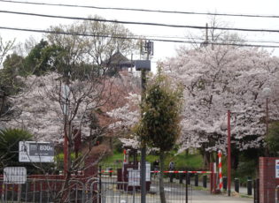 グループホームお花見お弁当会