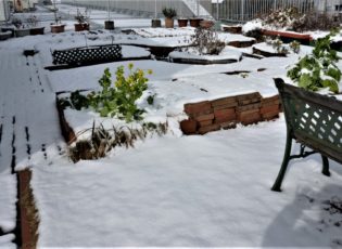 雪景色（ももやま）